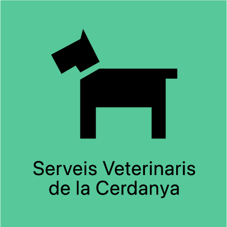 LOGO INSTA_Text_110px-02